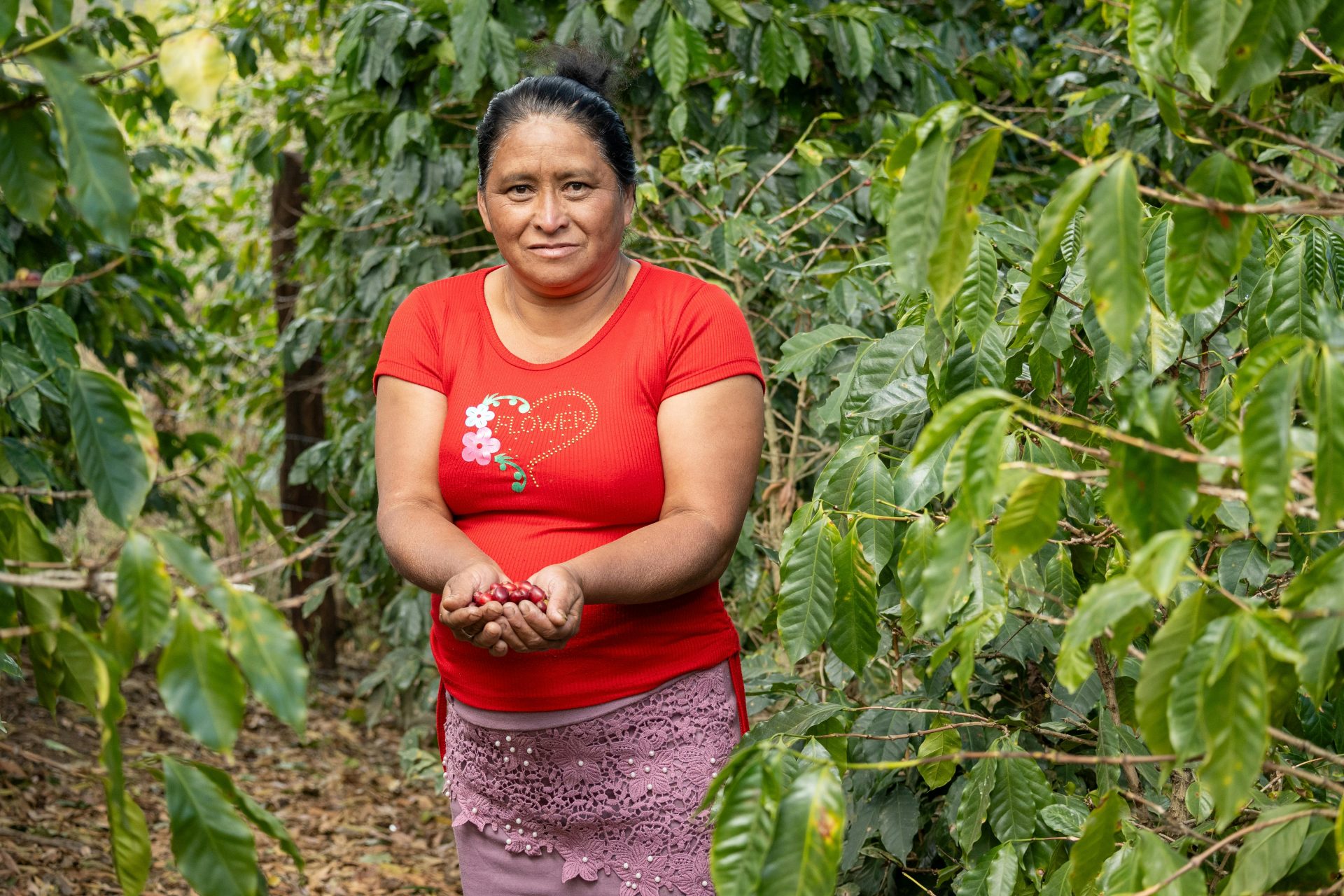 Coffee Beans Honduras Malta freshly roasted
