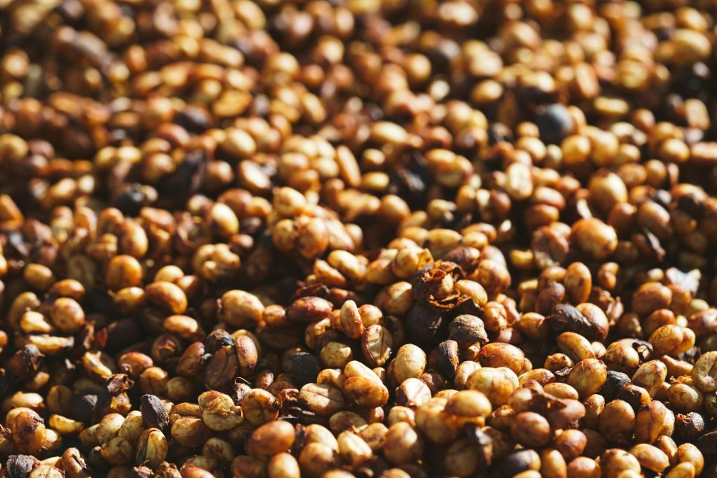 Honey Processed Coffee Malta