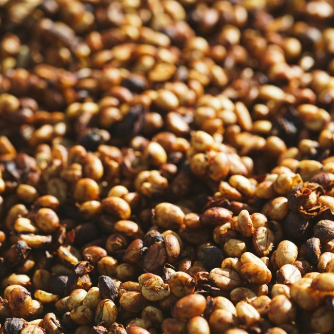 Honey Processed Coffee Malta
