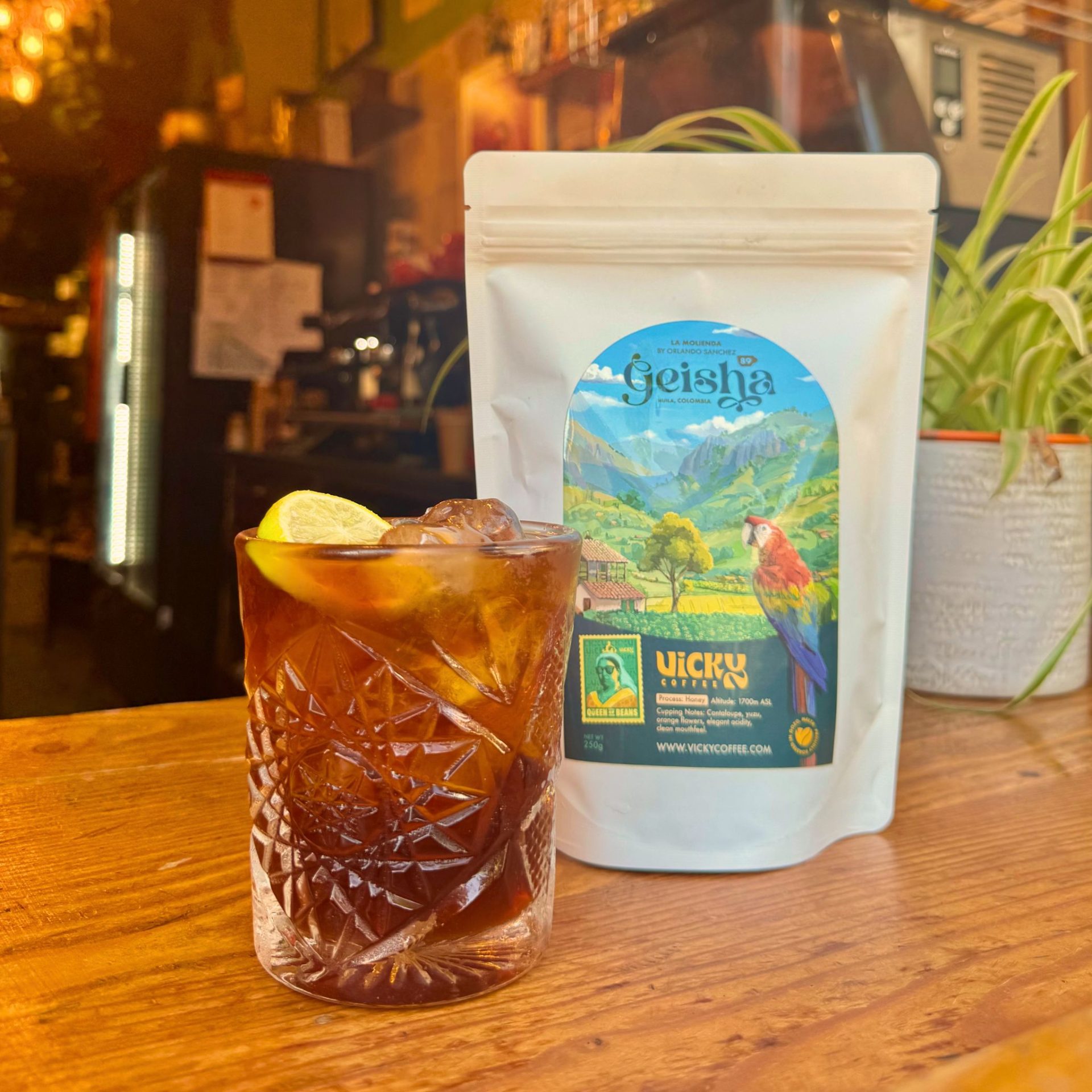Cold Brew Geisha Speciality Coffee