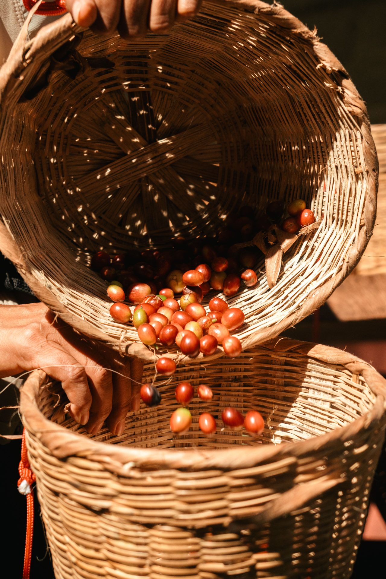 Mexico Coffee Beans Malta Gozo